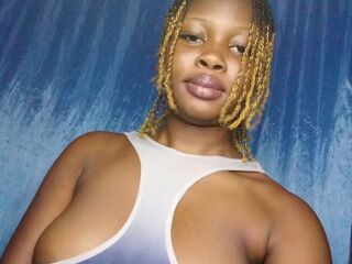 live webcam Plum